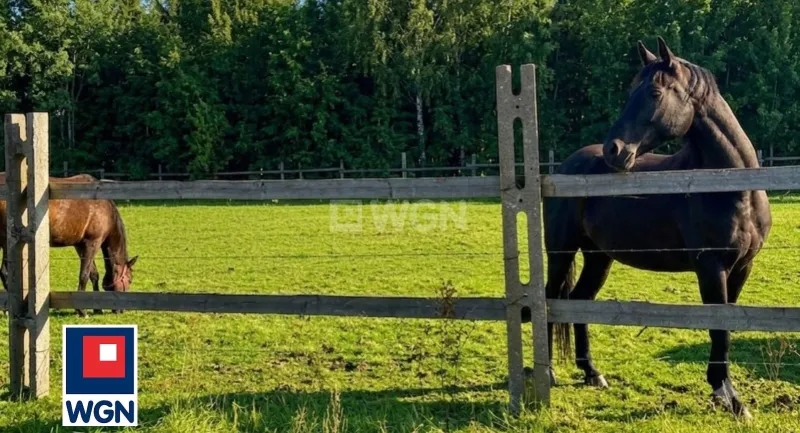 Działka na sprzedaż Lulemino